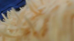 DashaKina Teases All Her Body And Shows Her Pussy Close Up preview