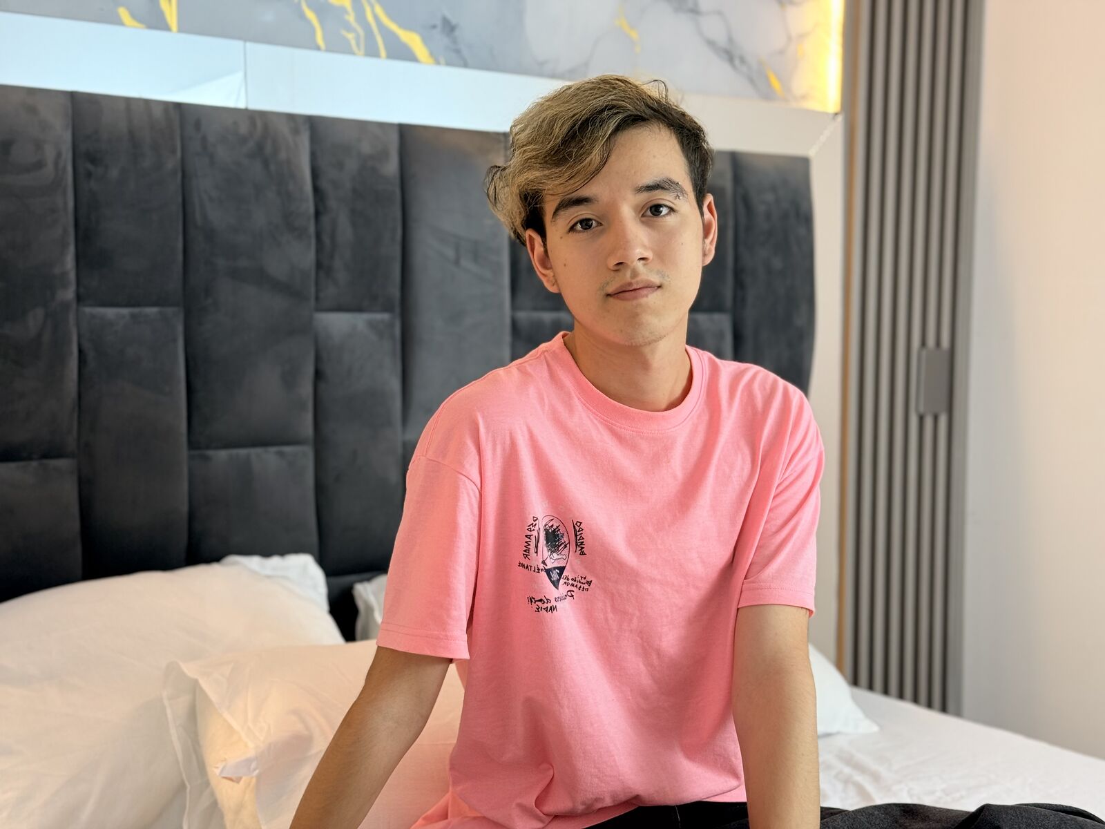 Live cam for IronDante