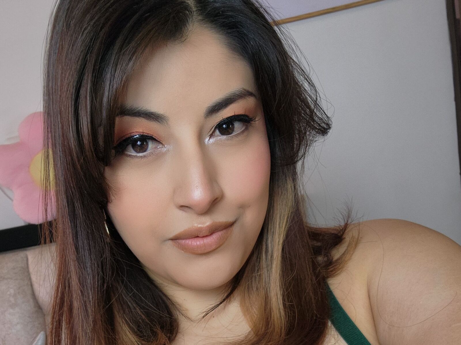 Live cam for AlexaStylish