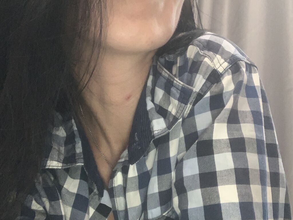 LilySchmidt cam profile preview image