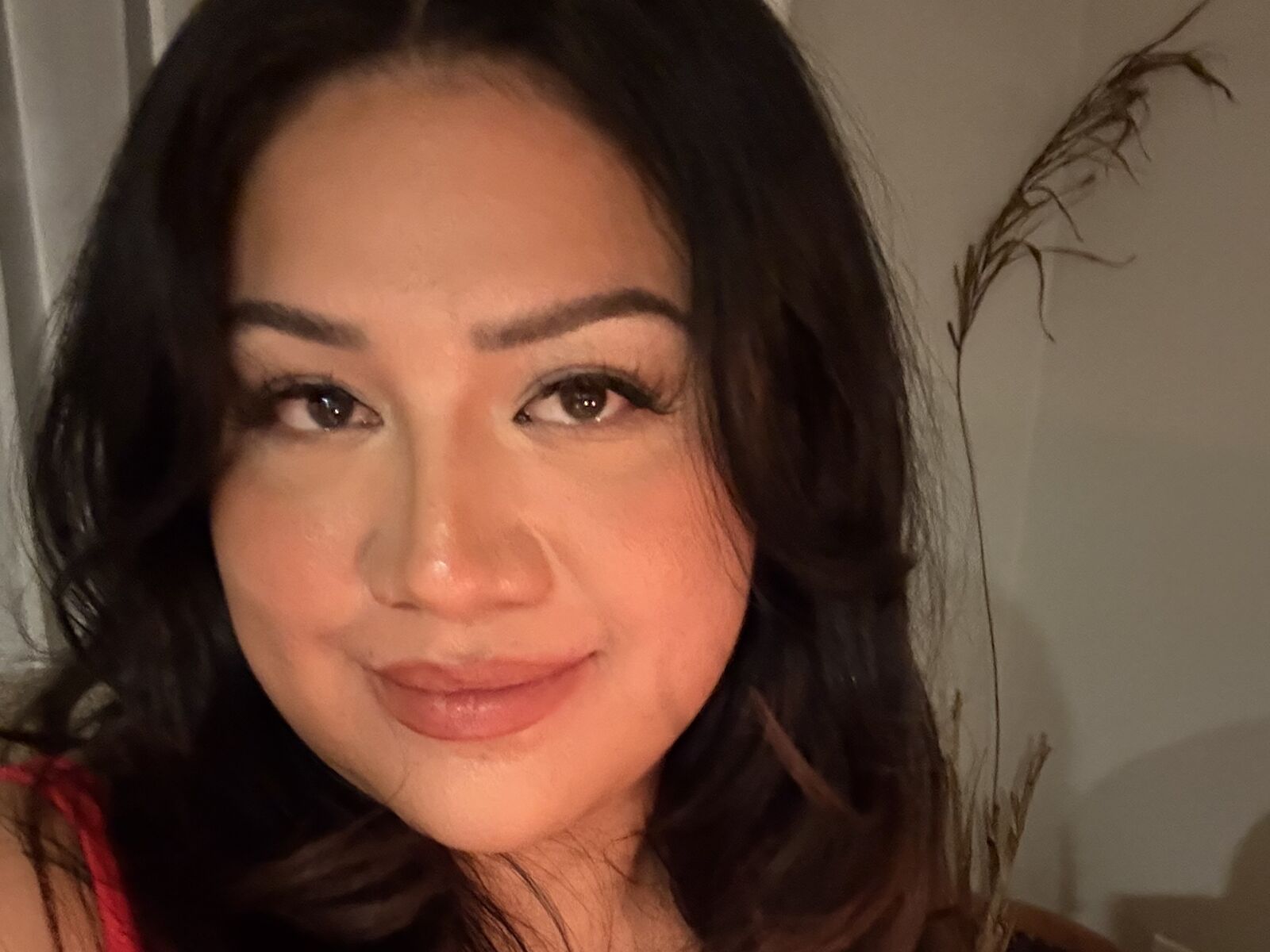 Live cam for PhoenixCali