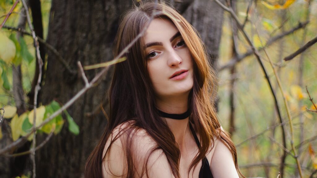 DaniaHollf cover