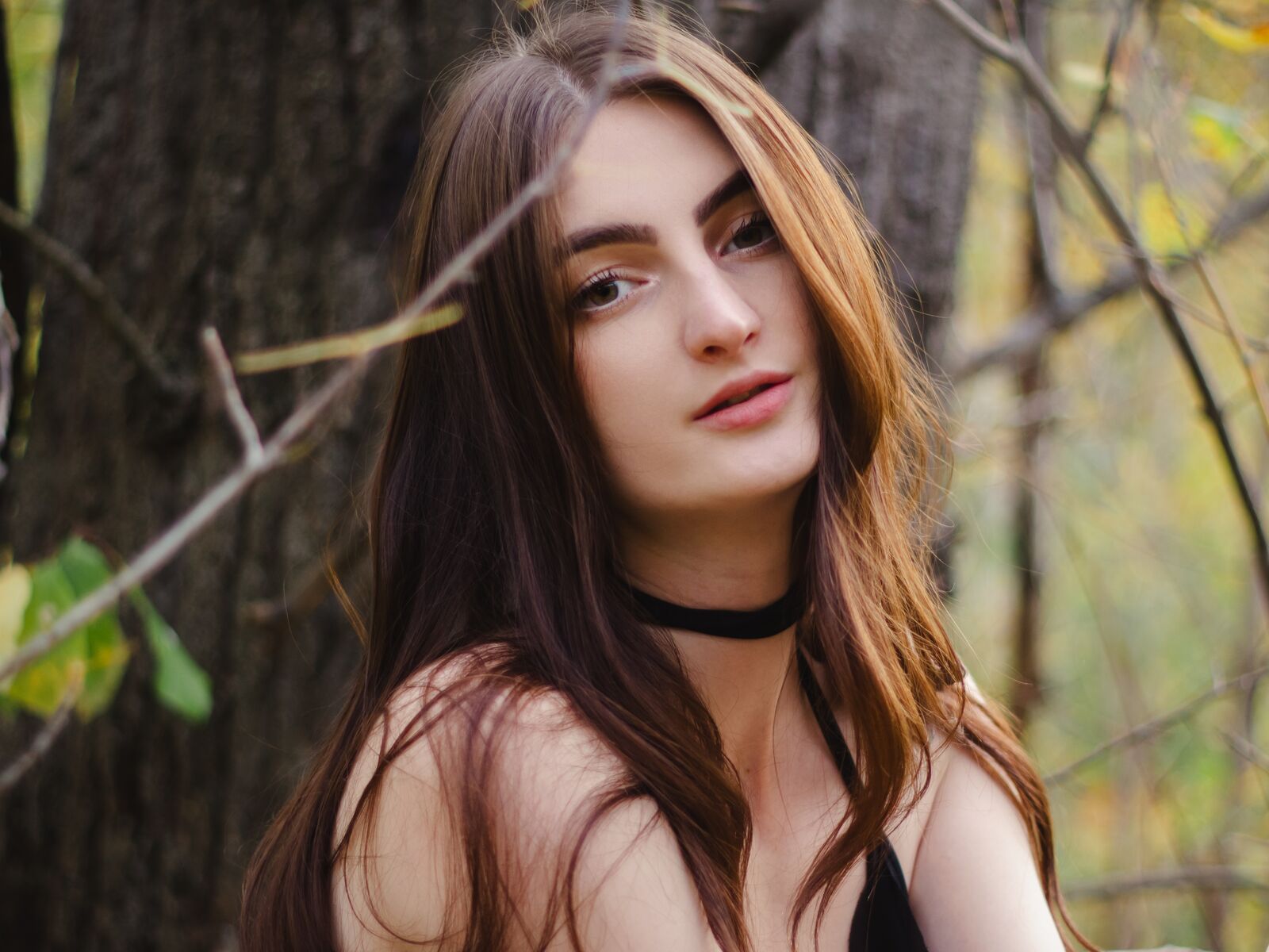 Live cam for DaniaHollf