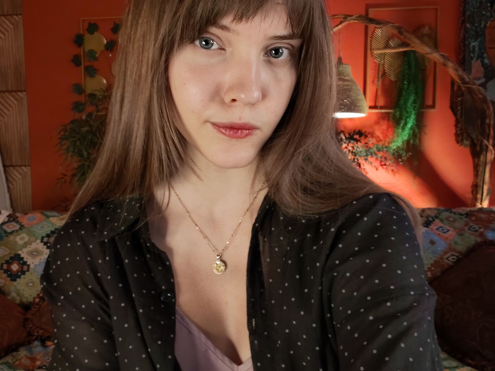 Live cam for AuroraWeil