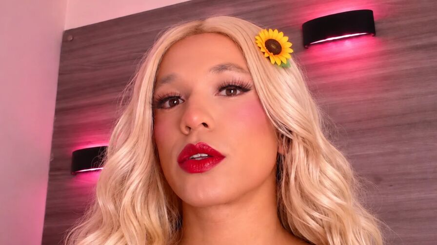 Watch DamaraOchoa live on freshseotools.com