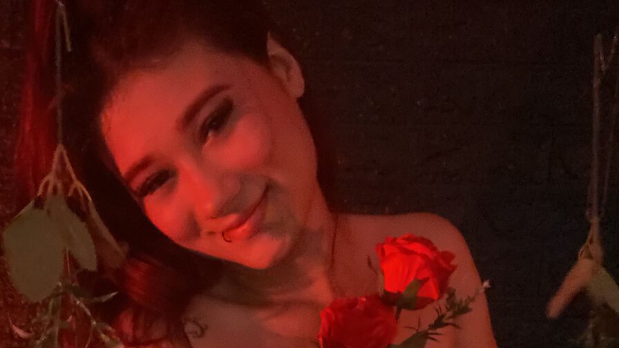 Watch LittleAlyy live on freshseotools.com