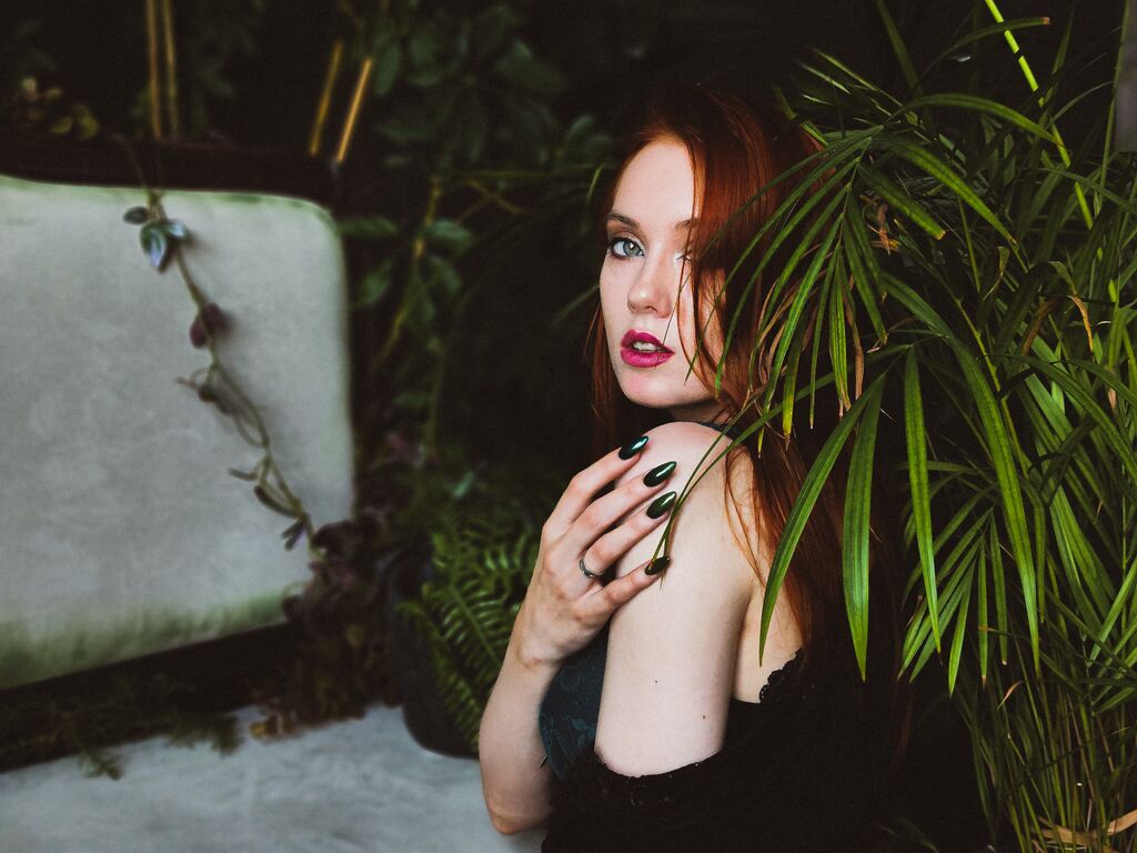 WendyElmergreen Profile Image