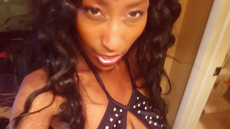 BustyBaddie's Premium Pictures and Videos