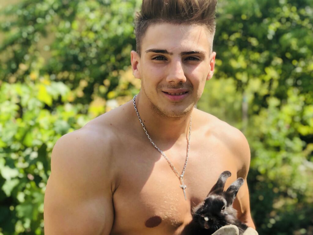 Preview of dustiinkent